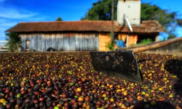 Tarifaço: qual o prejuízo real que economia do Brasil vai sofrer?