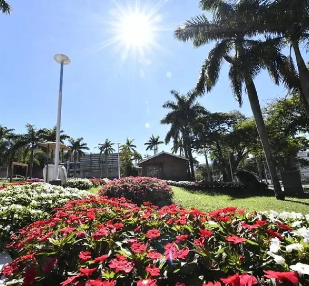 Cidade das flores
