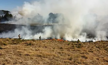 Queimadas caem 13% em abril, mas Brasil acumula alta de 16% em focos de incêndio em 2026