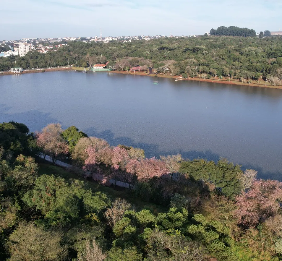 Lago Municipal