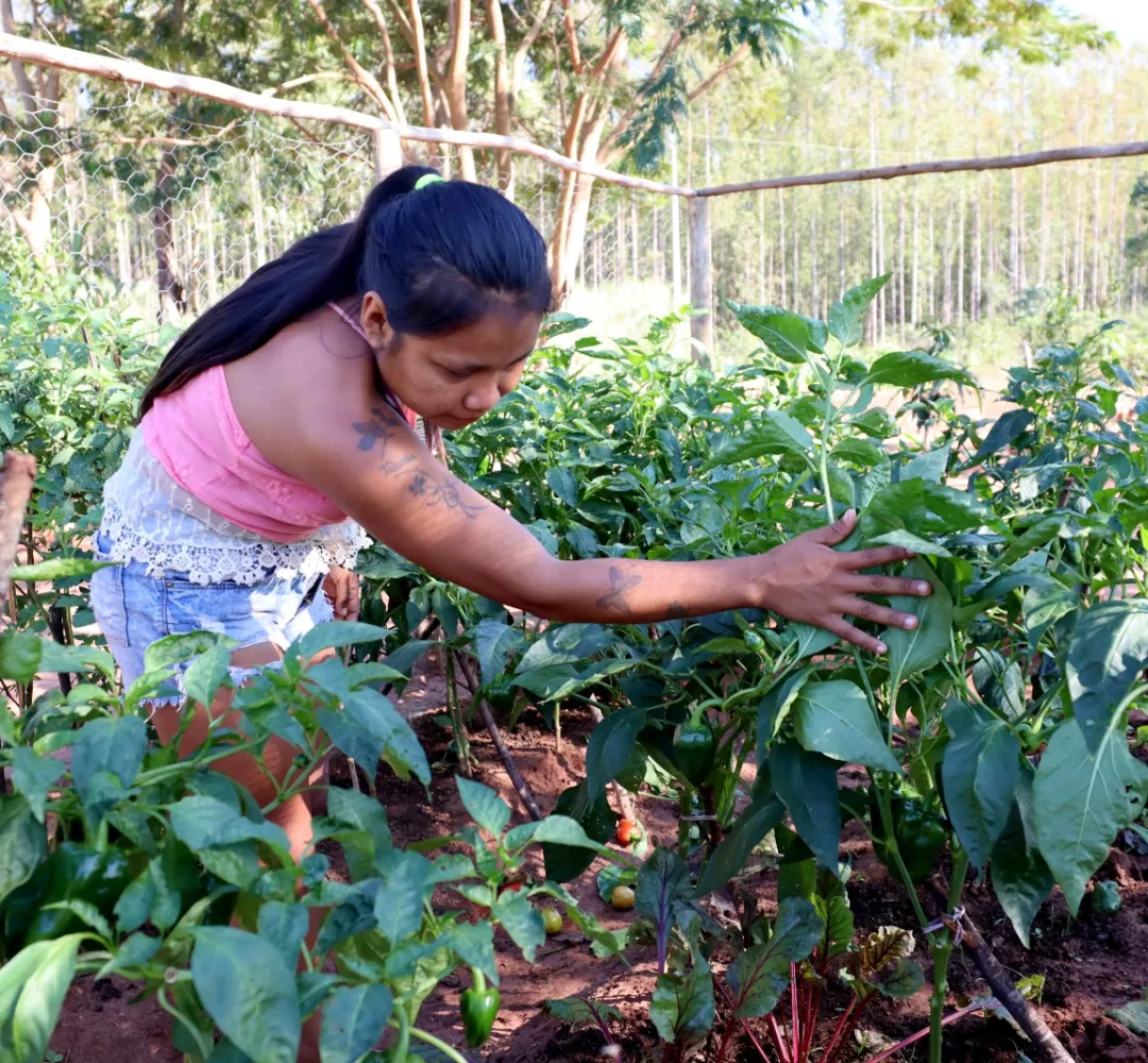 Comunidades indígenas