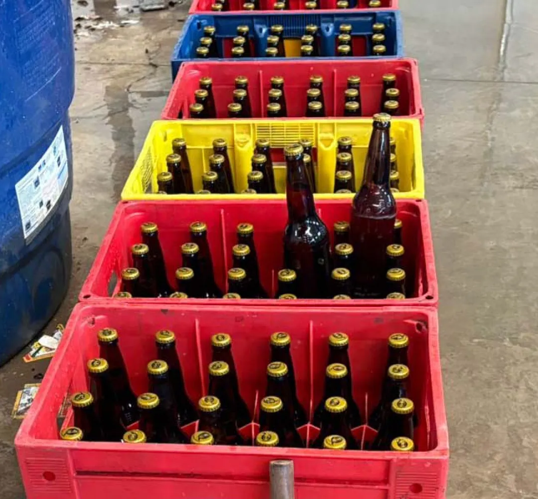 Cerveja