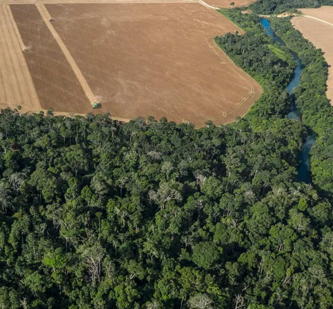 Licença ambiental
