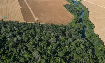 Leis do licenciamento ambiental são inconstitucionais, avalia DPU