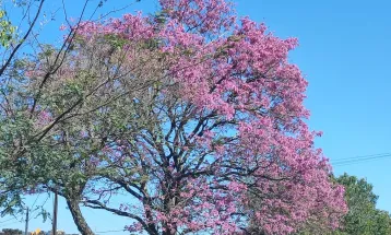 Frio perde força e sexta-feira será de sol e tempo firme no Oeste do Paraná