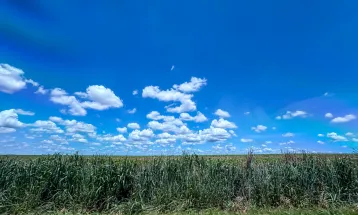 Mudanças climáticas já afetam 85% dos brasileiros, diz pesquisa