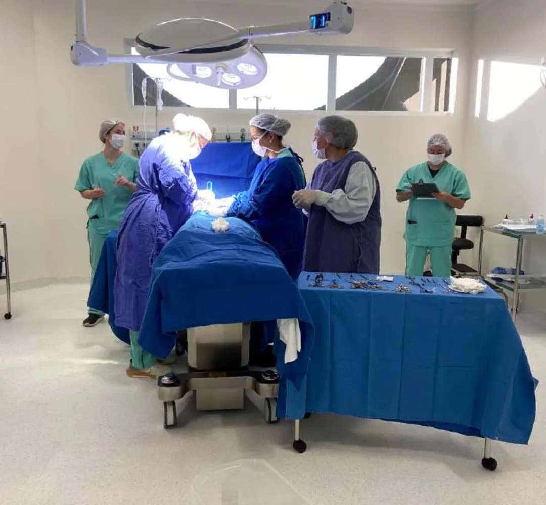 cirurgia eletivas