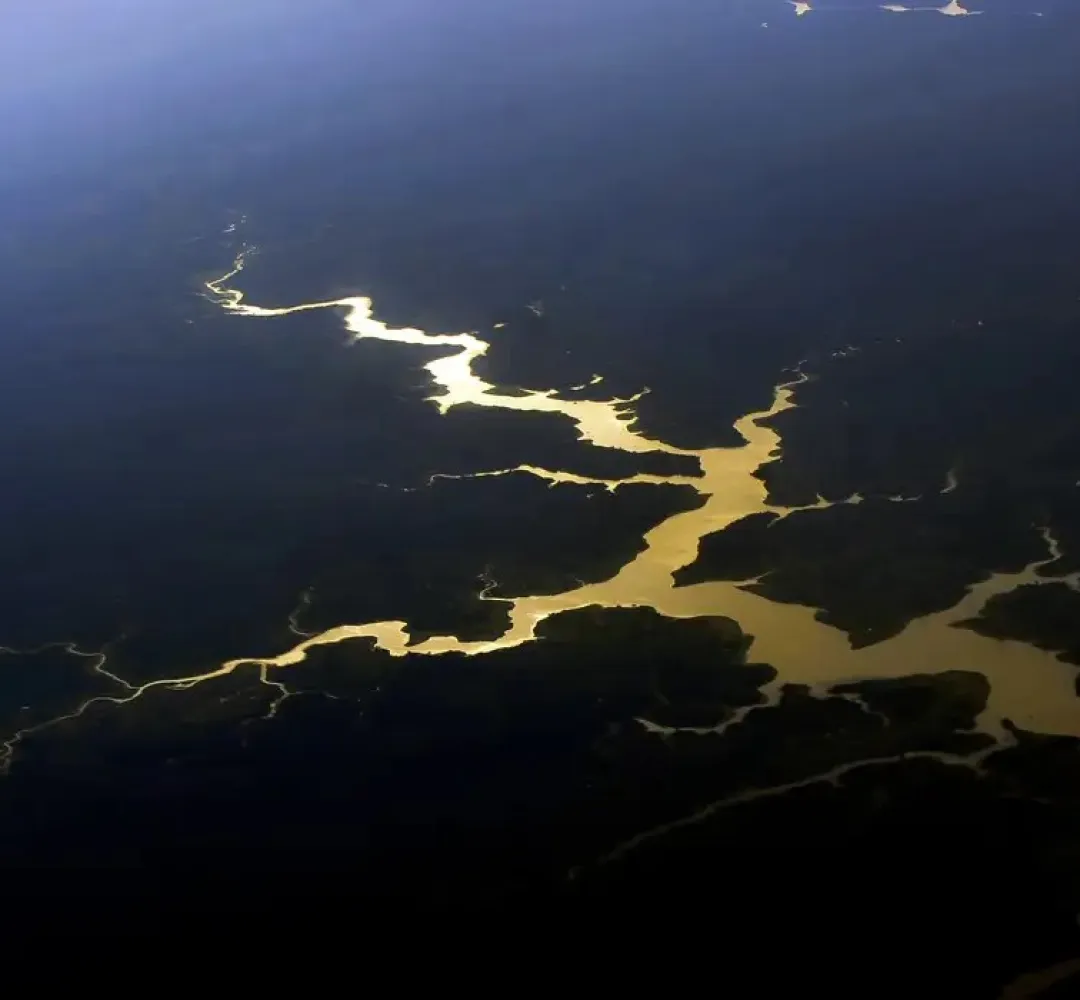 Amazônia