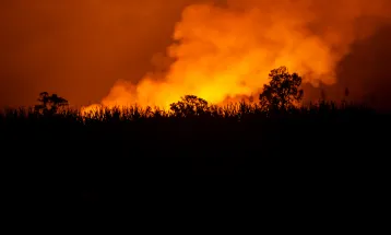 Setembro exige atenção redobrada contra incêndios no campo