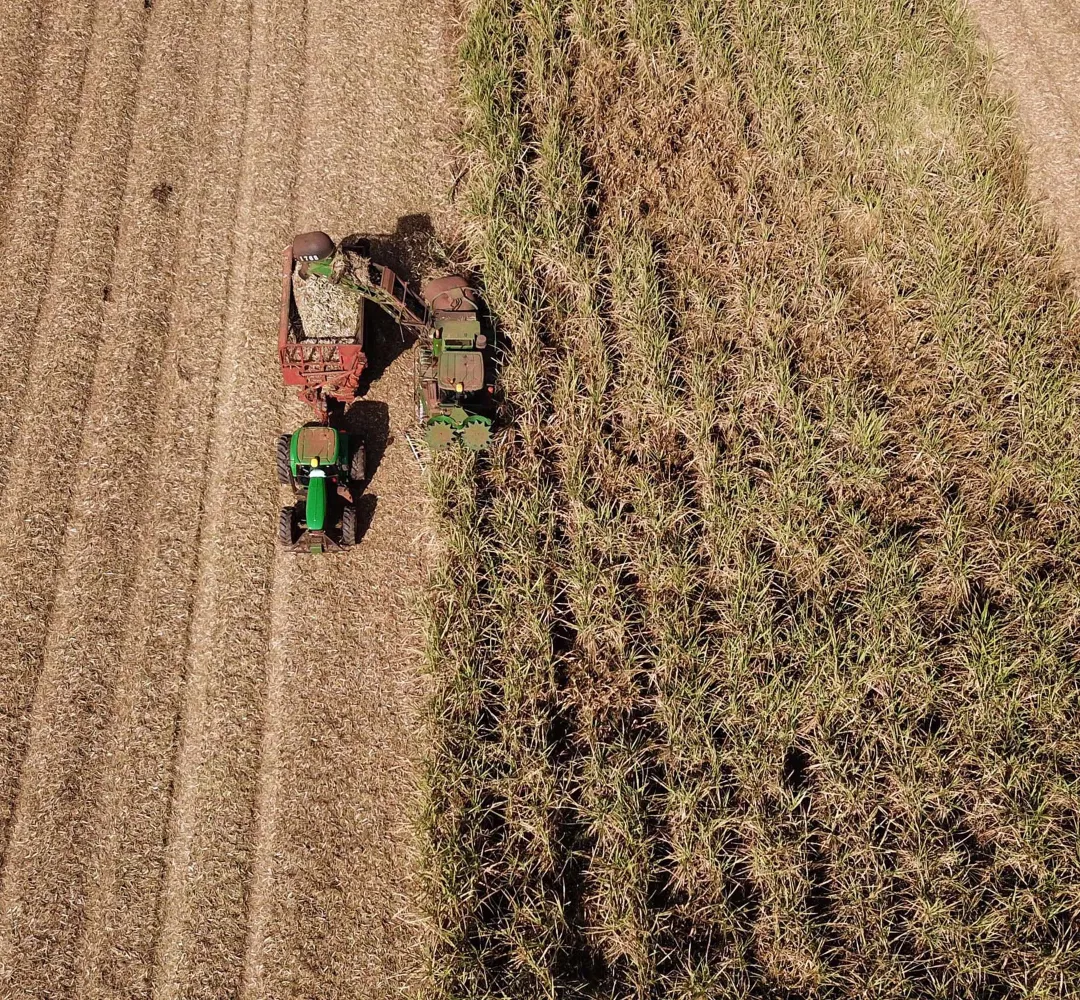agricultira
