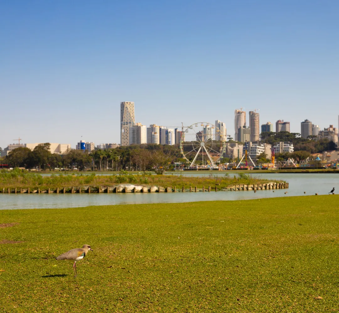 Curitiba