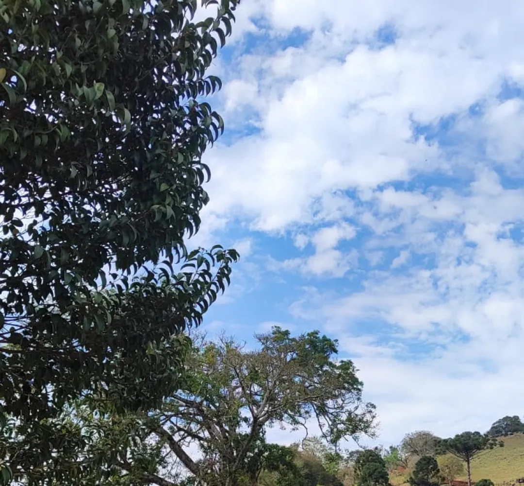 Previsão