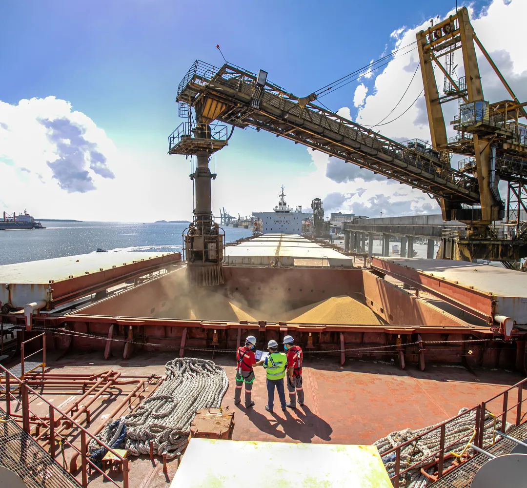 exportações