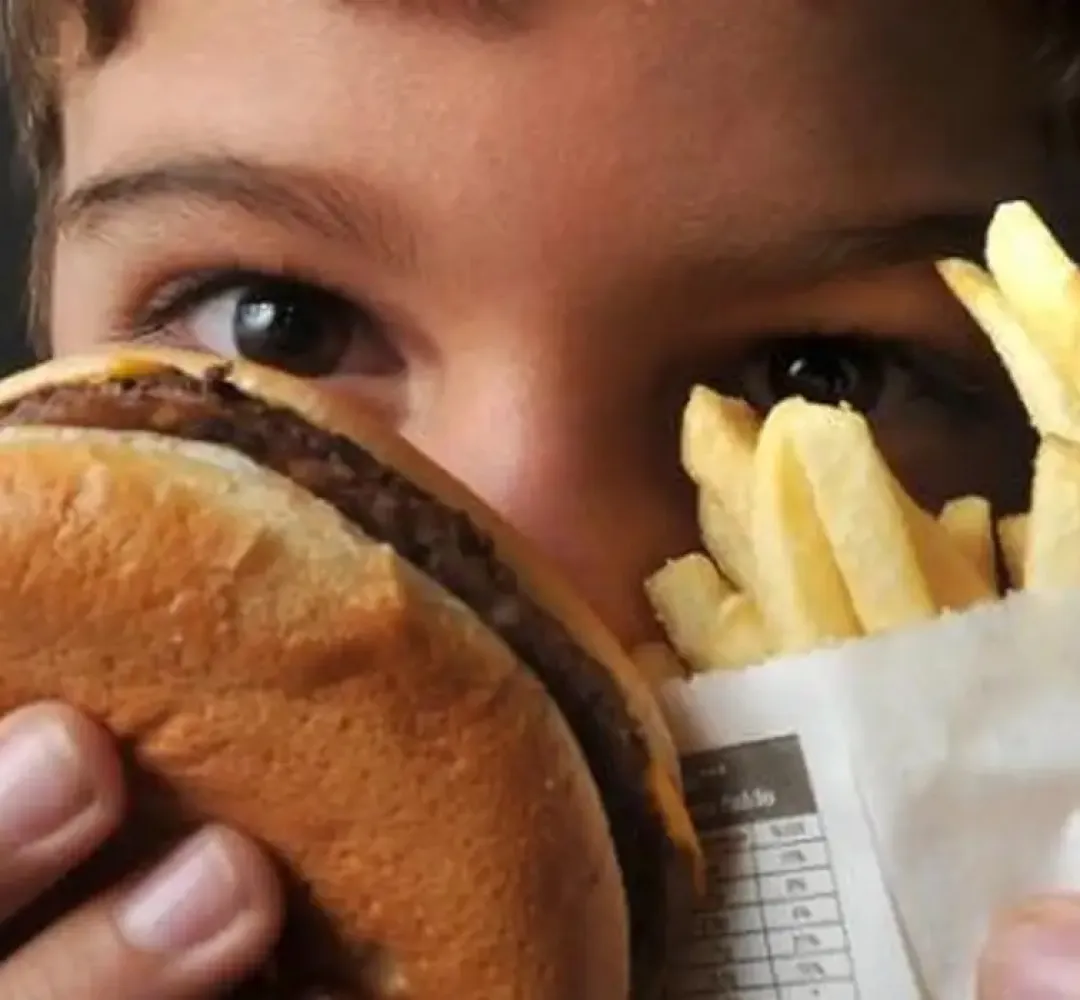 obesidade lanche