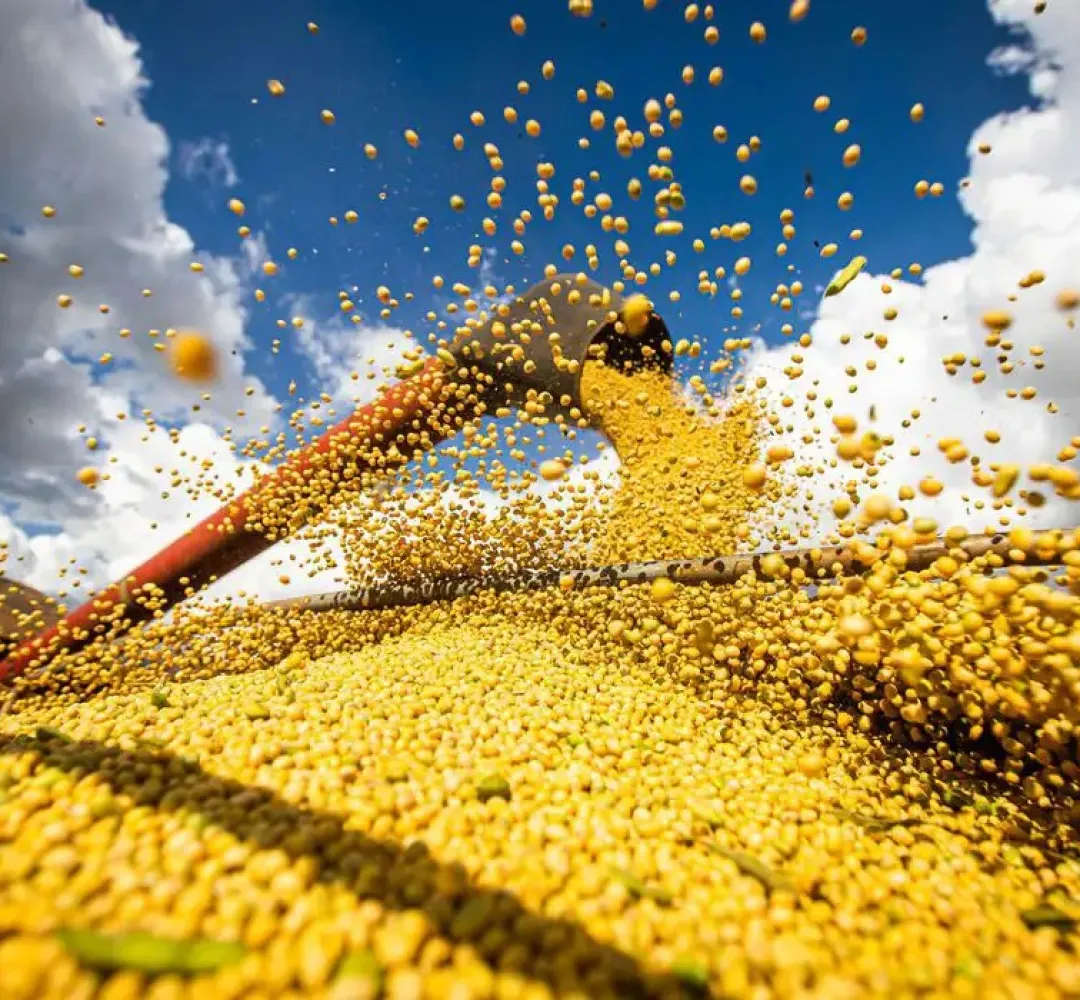 agro