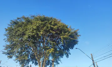 Cascavel terá sol e tempo estável nesta sexta-feira (12)