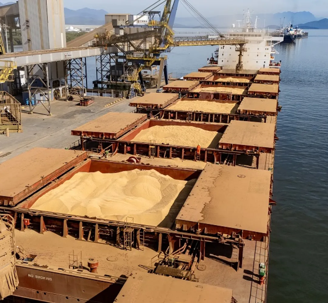 Exportação soja porto