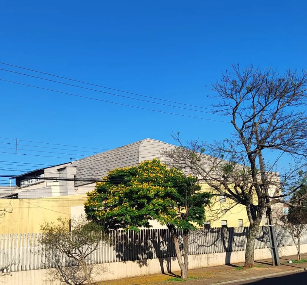 Previsão do tempo