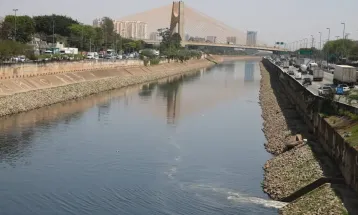 Rio Tietê continua vulnerável apesar de redução da mancha de poluição