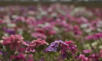 Primavera começa com chegada de frente fria, temporais e fortes ventos
