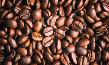 Exportações de café do Brasil caem 15,7% na safra 2025/2026, aponta Cecafé