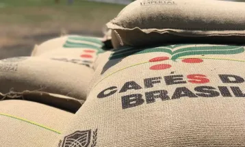 Café arábica fecha maio em queda e atinge menor preço desde 2024
