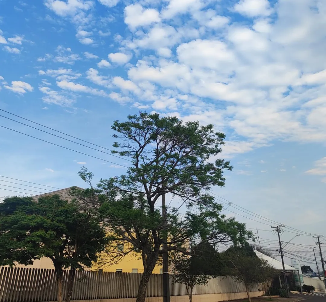 Previsão do tempo