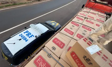 PRF apreende 450 mil maços de cigarros contrabandeados na BR-163, em Guaíra (PR)