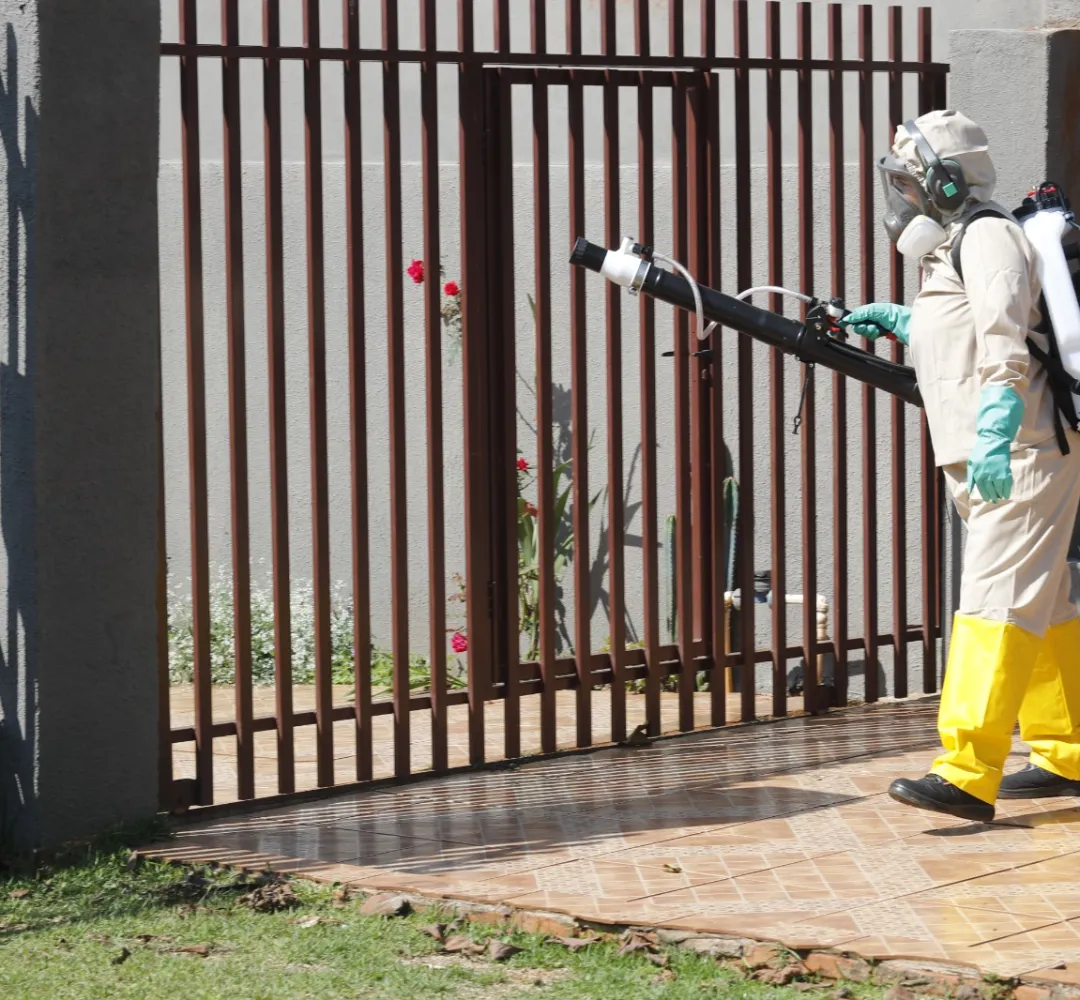 dengue
