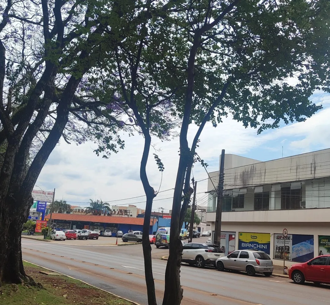 Previsão do tempo