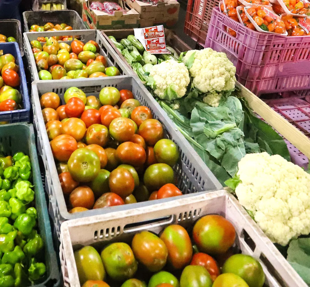 VERDURAS