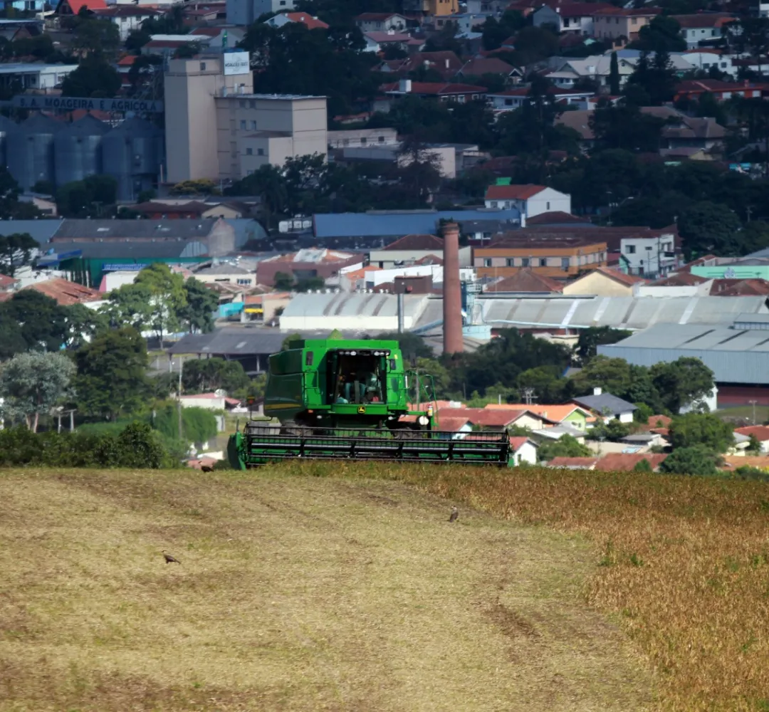 colheita