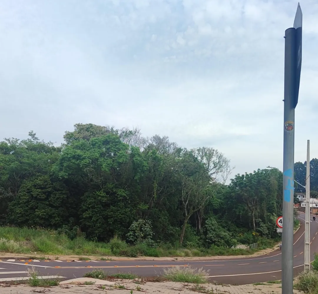 Previsão do tempo