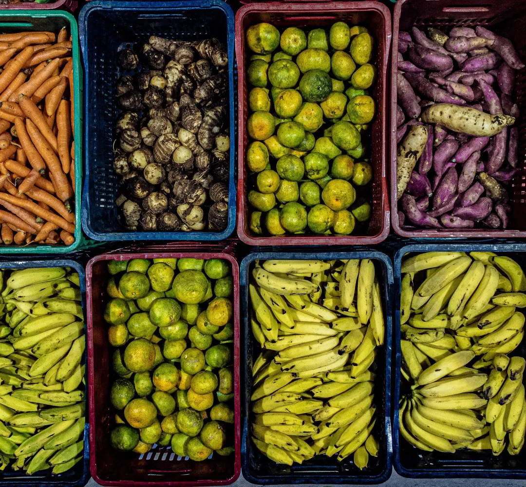 verduras