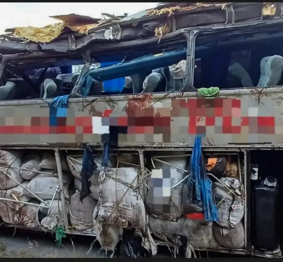 onibus pernambuco