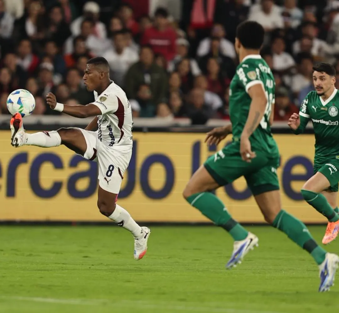 Palmeiras