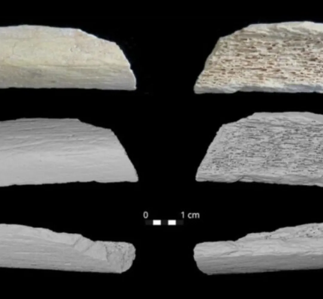 arqueologia