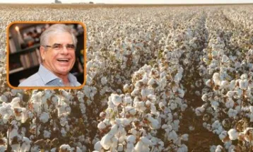 Estado de Mato Grosso pede falência do grupo do "Rei do Algodão"
