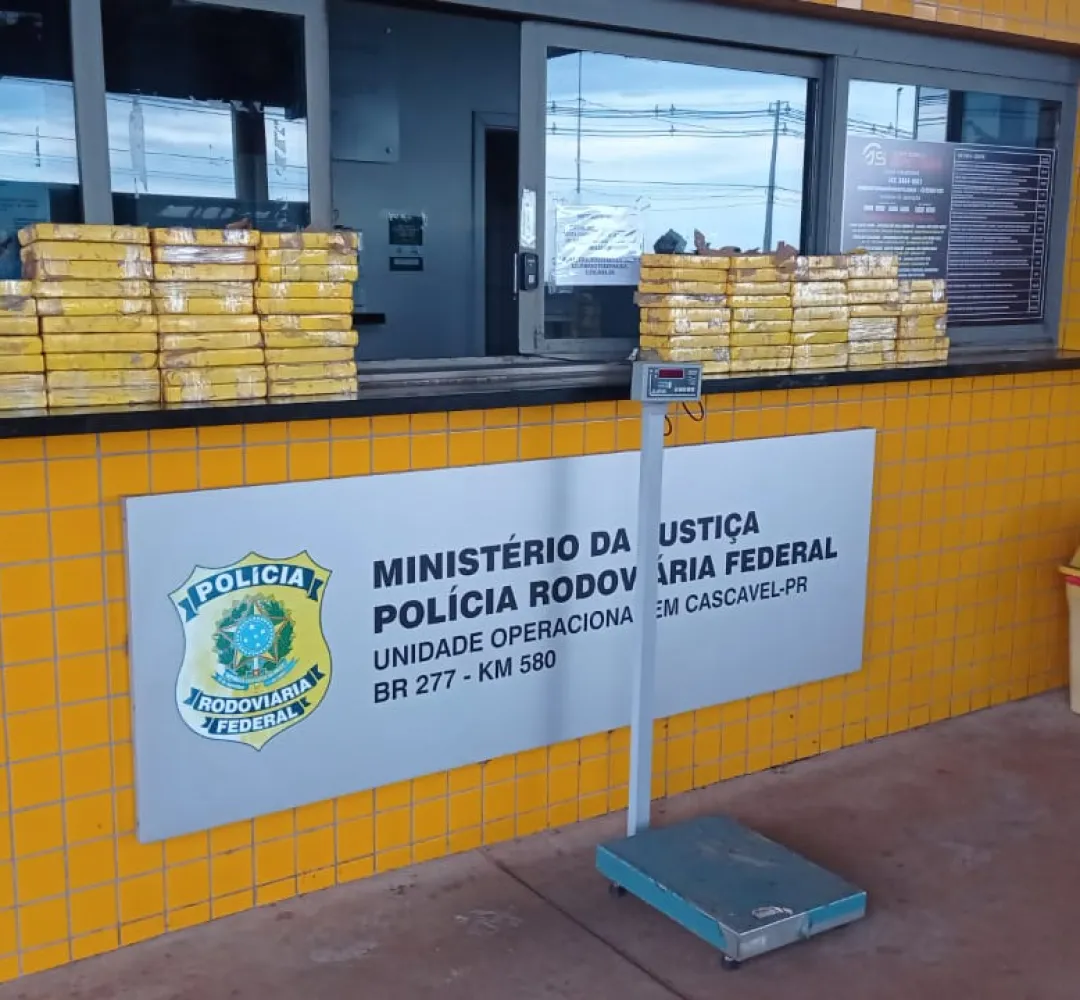 maconha apreendida