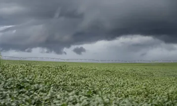 El Niño preocupa agro com risco de atrasar plantio e reduzir produção no Brasil