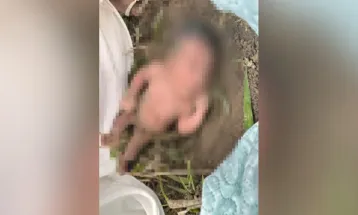 Recém-nascida é encontrada atrás de formigueiro em área rural