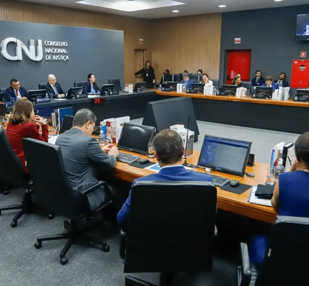 CNJ 17A REUNIÃO
