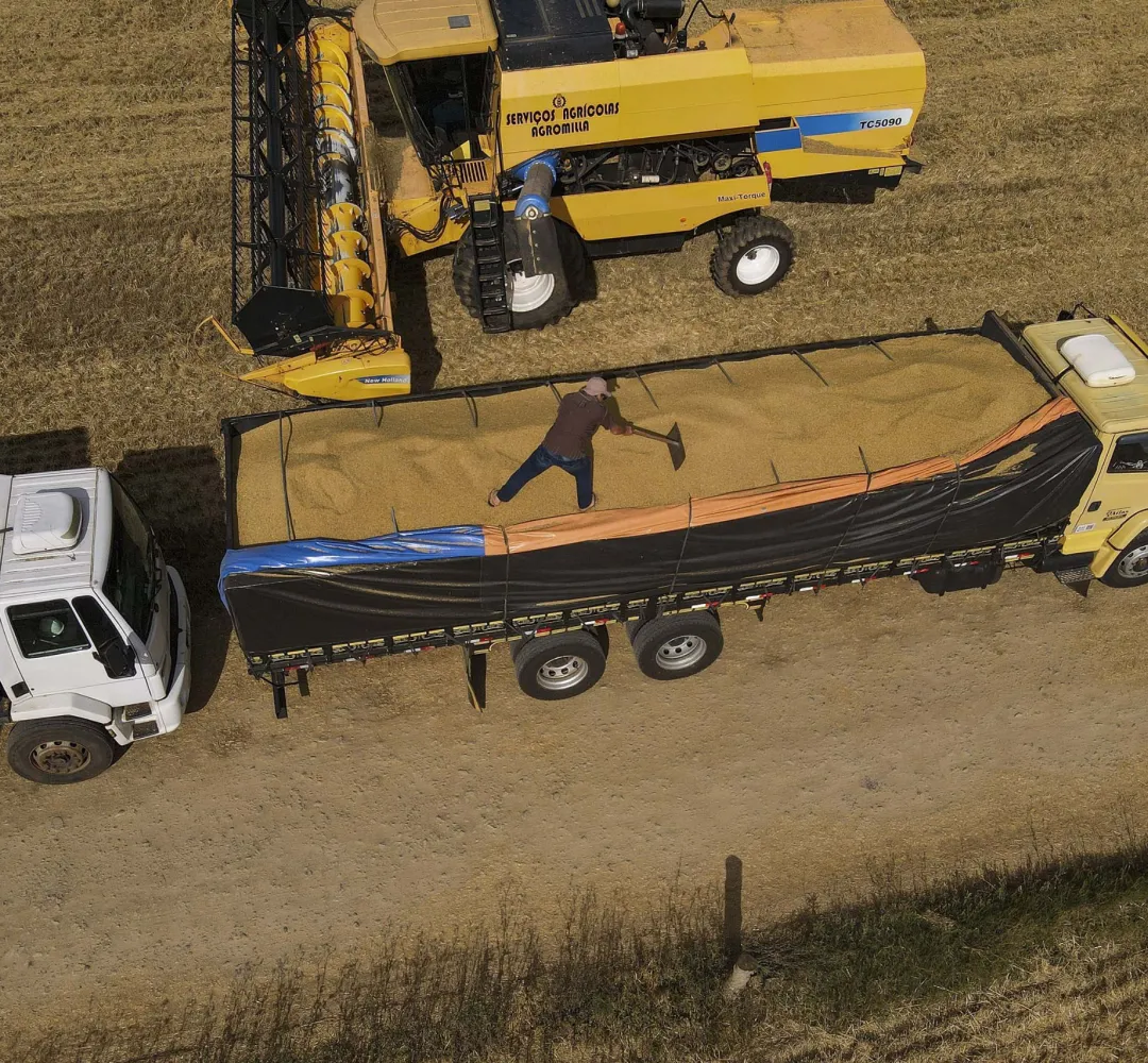 COLHEITA