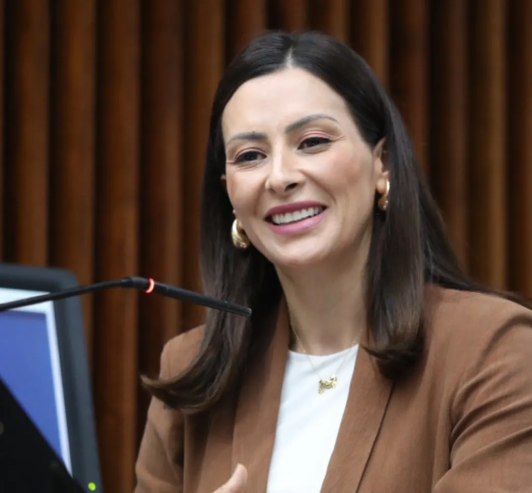 Deputada Estadual Mabel Canto