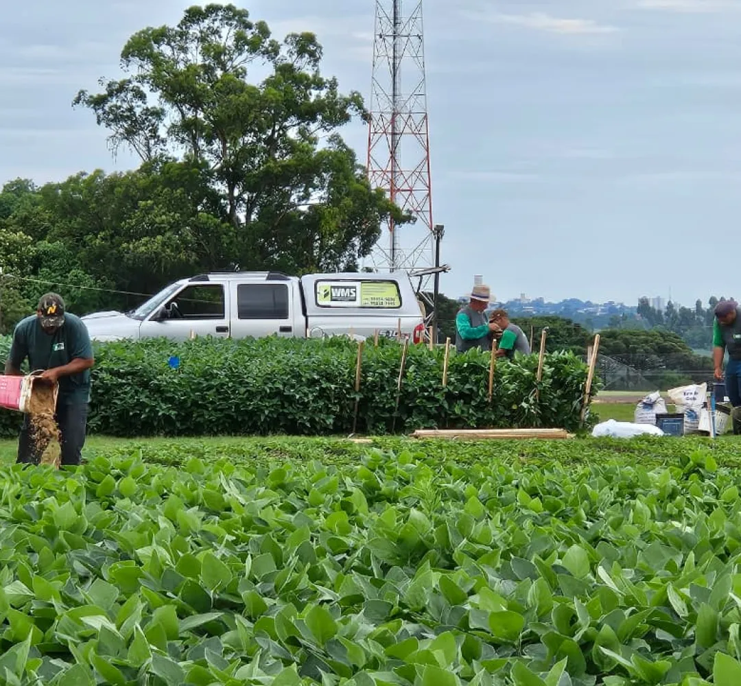 Preparativos Show Rural 2026