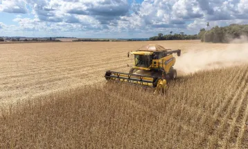Mudanças no Proagro deixam mais de 116 mil produtores sem cobertura