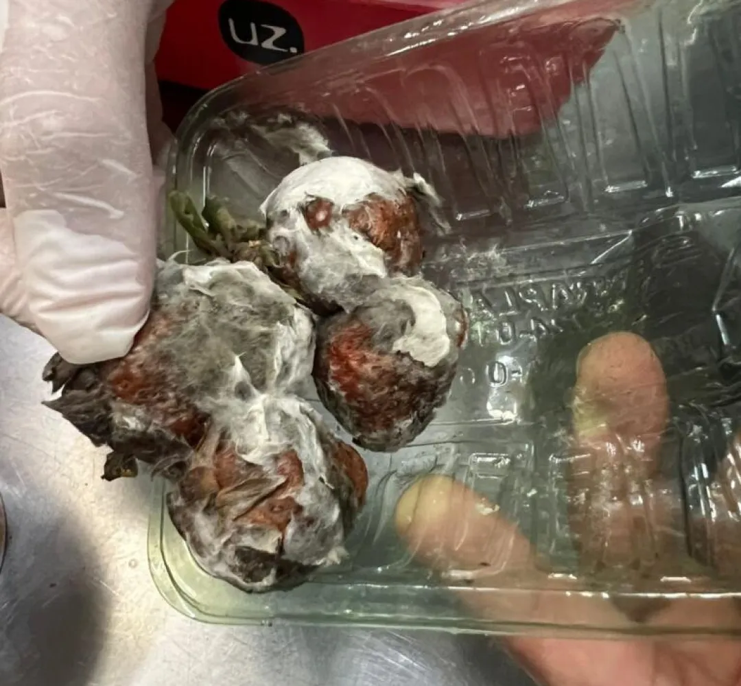Padaria