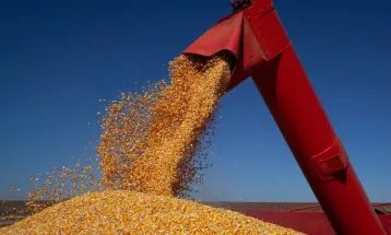 Safra brasileira deve atingir 347,4 milhões de toneladas em 2026, projeta IBGE