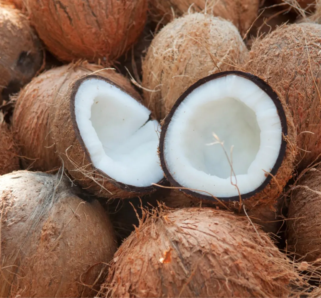 coco