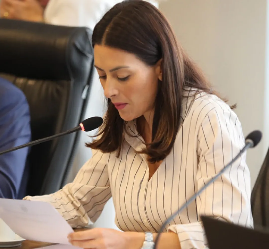 Deputada Estadual Mabel Canto